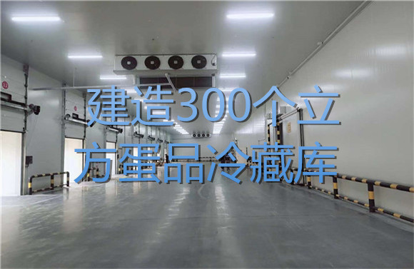 建造300個立方蛋品冷藏庫