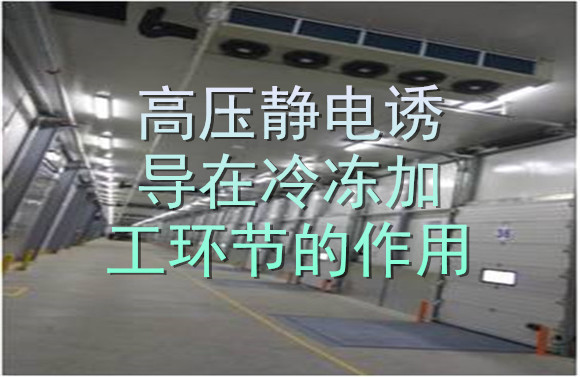 高壓靜電誘導在冷凍加工環節的作用